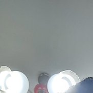 ����, 41 ���, ���������