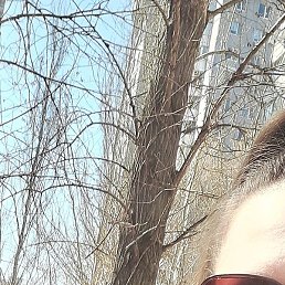Elj, ���������, 41 ���
