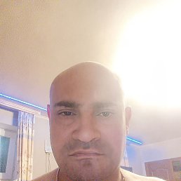 ������, ������, 41 ���