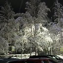 ���� �����, ������, 52 ���� - ��������� 9 ������� 2024 � ������ ���� ����������