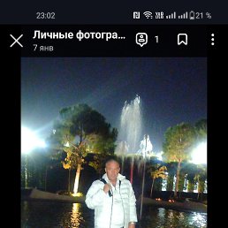 , 51 , 