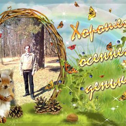 ������, ������, 51 ���