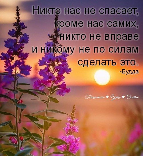 �������� ������ - 5 ���� 2026 � 12:20