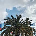 ���� ������, �����-���������, 50 ��� - ��������� 4 ����� 2026 � ������ ������ ��������