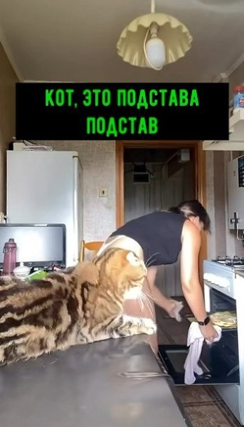 ���, � ������ ���� ����� ������