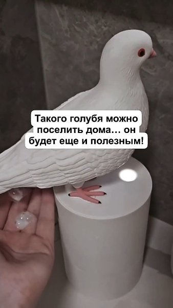 ����� ������� ������� ���� - 4
