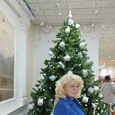 ���� ��������, �����-���������, 55 ��� - ��������� 27 ������ 2024 � ������ ���� ����������
