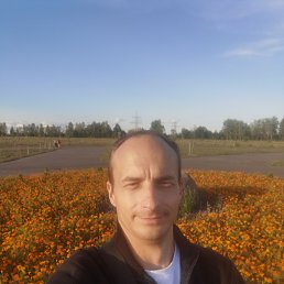 , 38, 