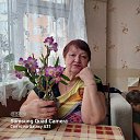 ���� �������, ������, 66 ��� - ��������� 16 ����� 2024