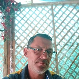  , 49, 