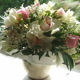 ����, ����-������, 48 ���