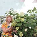 ���� ��������, ������, 55 ��� - ��������� 18 ���� 2024 � ������ ���� ����������