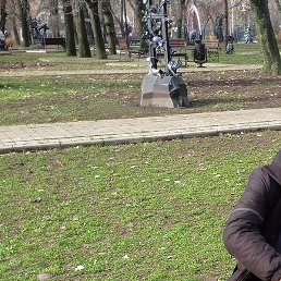 ����, ������, 39 ���