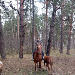 ���� ������, �����, 32 ���� - ��������� 18 ������� 2025