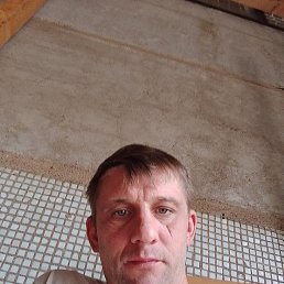 , 44, 