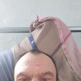 �������, 39 ���, ������