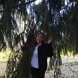 �����, 42 ����, �����������