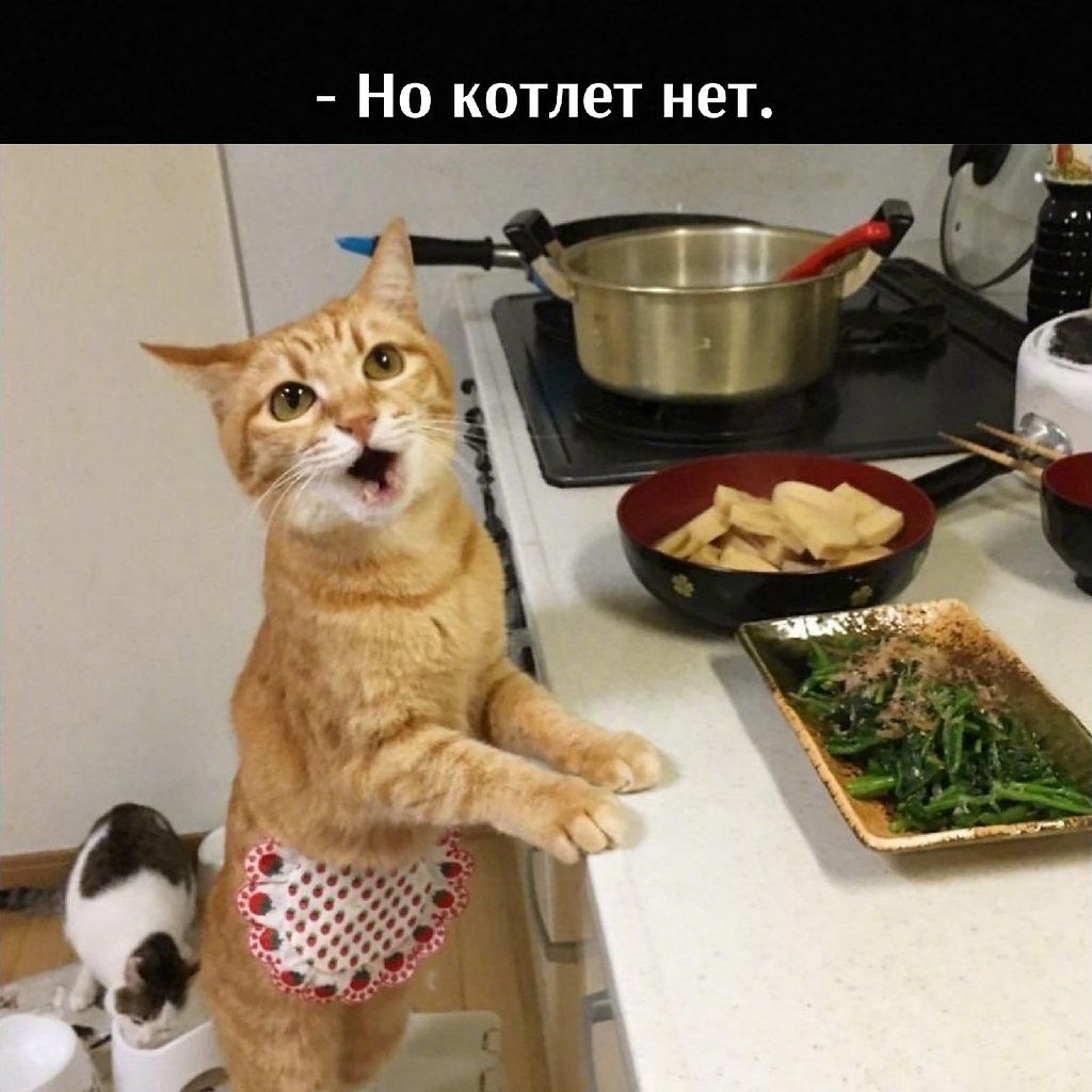��� ���� � ����� �� �� - 17 ����� 2026 � 17:00 - 3