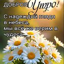 ���� ������, ������������, 66 ��� - ��������� 25 ������� 2026 � ������ ���� ����������