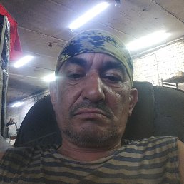 , 51 , --