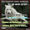 ���� ������, ������, 39 ��� - ��������� 10 ������ 2026