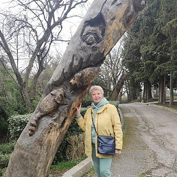 �������, �����, 73 ����