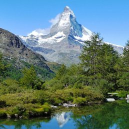 �������, ������, 41 ���