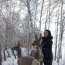 ���������, ������, 59 ���