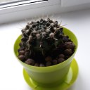 ���� ����, ���� - ��������� 9 ������ 2024