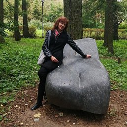 �����, �����������, 56 ���