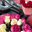 ���� ��������, ������ - ��������� 1 ������� 2025 � ������ ������ ��������