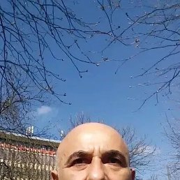 , 58, 