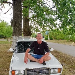 ����, �������, 54 ����