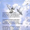 ���� �������, ������ ��������, 39 ��� - ��������� 18 ������ 2024 � ������ ���� ����������