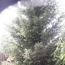 ���� �����, �������-��������� - ��������� 26 ���� 2025 � ������ ���� ����������
