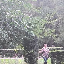 , 53, 