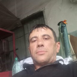 , 39, 