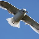 ���� ������, ����-��� - ��������� 24 ������ 2025