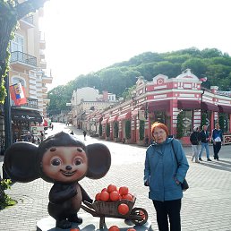 �������, ������, 71 ���