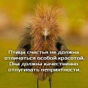 ���� �����, ����, 74 ���� - ��������� 18 ������� 2026