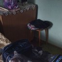 ���� ��������, �����, 57 ��� - ��������� 11 ��� 2026