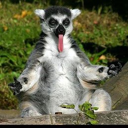 ���� ��������, ������ ��������, 48 ��� - ��������� 29 ����� 2026