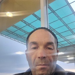 ���������, 46 ���, ���������