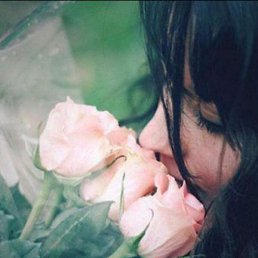 Solnhko, �����������