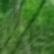 ������, 66 ���, ������