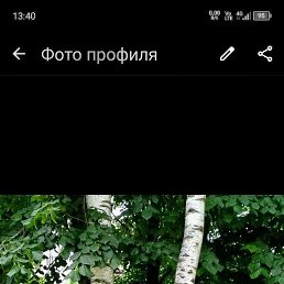 �������, �����-���������, 54 ����