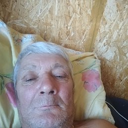 ������, 65 ���, �������