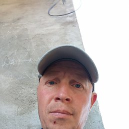 �������, ���������, 43 ����