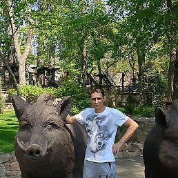 Lone Wolf, 41, 