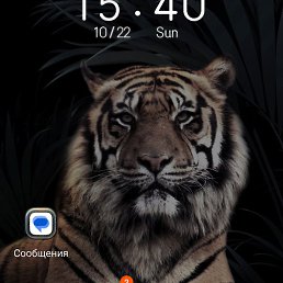 ��������, ������, 38 ���